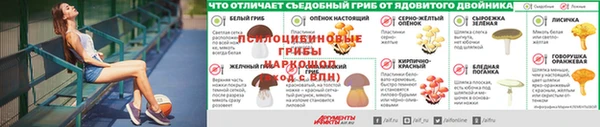 гашик Волосово