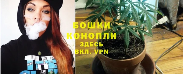 эйфоретик Вязьма